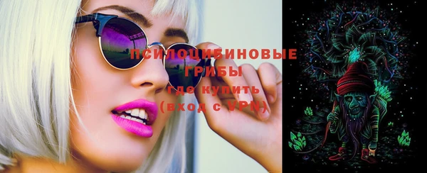 шишки Нефтекумск
