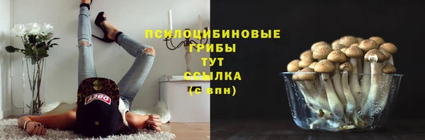 шишки Нефтекумск