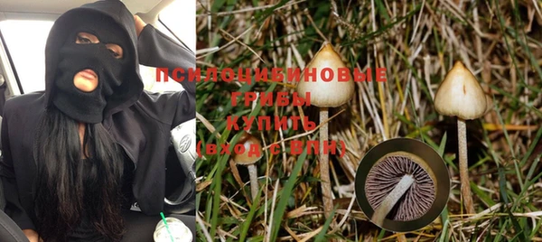кокс Нея