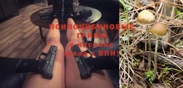 шишки Нефтекумск
