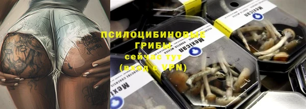 шишки Нефтекумск
